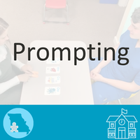 Prompting