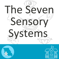 The Seven Sensory Systems